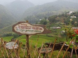 Jangan Memberikan Uang Bagi Pengemis Anak-Anak