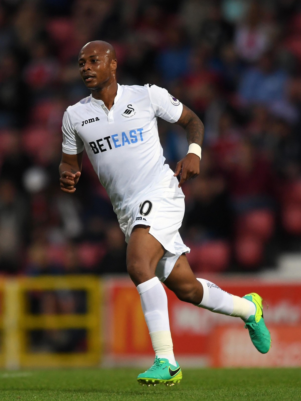 Foto: Getty Images/Stu Forster