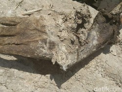 Warga Deliserdang Dikejutkan Temuan Telapak Tangan di Tumpukan Sampah