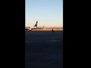 Mengejar Pesawat, Penumpang Ini Nekat Berlari di Apron Bandara Madrid