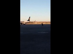 Mengejar Pesawat, Penumpang Ini Nekat Berlari di Apron Bandara Madrid