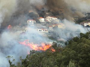 Kebakaran Hutan di Portugal Tewaskan 3 Orang, 1.000 Orang Dievakuasi