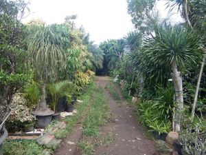 Ini Lahan DKI di Permata Hijau yang Dijual Rp 38 M dan Akan Disita Jaksa