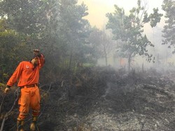 PN Jaksel Hukum PT NSP Bayar Rp 1 Triliun ke Pemerintah Terkait Kebakaran Hutan