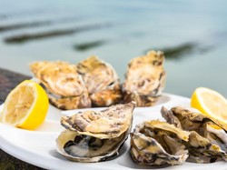 Pemanasan Global Tingkatkan Keracunan Pada Tiram Mentah