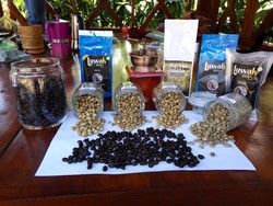 Kisah Imam, Jualan Kopi Luwak via Online Hingga ke Negeri Paman Sam