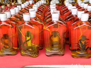 Oleh-oleh Unik dari Perbatasan Laos: Whiskey Ular & Kalajengking Oleh-oleh Unik dari Perbatasan Laos: Whiskey Ular & Kalajengking