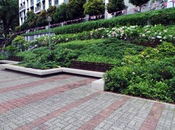 Liburan ke Singapura, Ada Taman Sejuk Untuk Jalan-Jalan Pagi