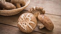 Empuk Juicy Seperti Daging, Ini 10 Jamur Paling Enak di Dunia