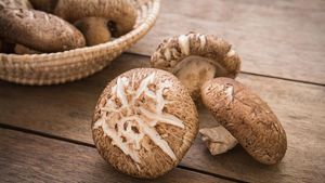 Empuk Juicy Seperti Daging, Ini 10 Jamur Paling Enak di Dunia