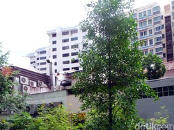 Pohon Kenangan Bapak Pendiri Singapura Ada di Taman Ini