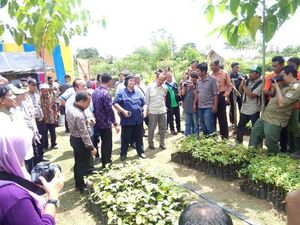 Menteri LHK: Hutan Tanaman Rakyat Harus Sejahterakan Masyarakat