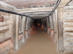 Beraksi Jadi Penambang Emas Bawah Tanah di Awal Abad 19 di Ballarat