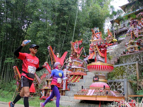 Ratusan Peserta Ikuti Lomba Lari Toraja Marathon