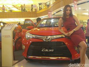 Toyota Calya Laris Manis di Jawa Tengah dan Yogya