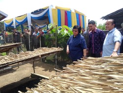 Menteri LHK: Hutan Tanaman Rakyat Solusi Atasi Konflik Kawasan Hutan