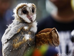 Bumi Kedatangan 2.500 Spesies Baru di 2050