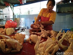 Harga Daging Ayam Tak Beda Jauh dengan Lebaran, Seekor Rp 35.000