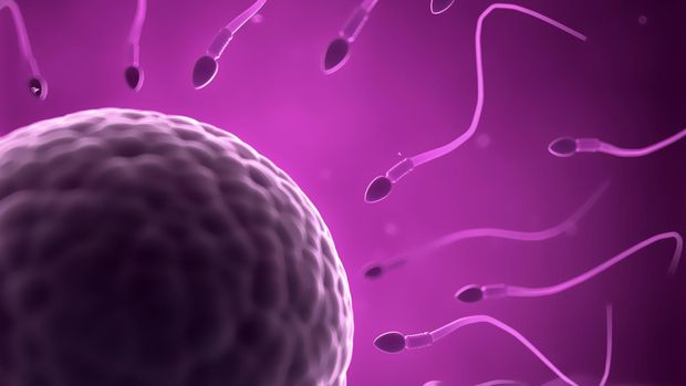 Kebiasaan Suami yang Bisa Rusak Sperma dan Bikin Istri Sulit Hamil