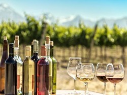 Berawal dari Lelucon, Pria Ini Terpilih Sebagai Ratu Wine