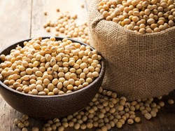 Studi: Makan Kedelai Bisa Perpanjang Umur Pasien Kanker Payudara