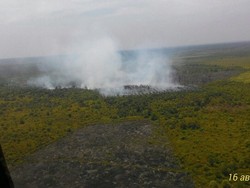 Kawasan Hutan Lindung Bukit Suligi Riau Terbakar dalam Sepekan Terakhir