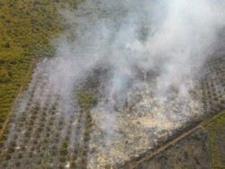 Satgas Udara Karhutla Duga 20 Hektare Lahan di Rohil Riau Sengaja Dibakar