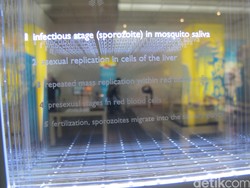 Melucuti Persenjataan Para Kuman untuk Mengatasi Resistensi Antibiotik