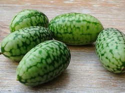 Cucamelon, si Imut yang Mirip Semangka dan Mentimun