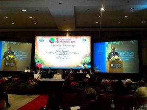 Benarkah Pembukaan Kebun Kelapa Sawit di Lahan Gambut Merusak Lingkungan?