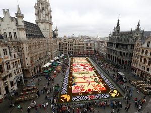 Karpet Bunga Raksasa Dipajang di Belgia