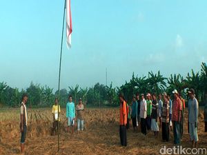 Peringati Hari Kemerdekaan, Petani Gelar Upacara di Sawah