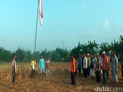 Petani di Lamongan Gelar Upacara HUT ke 71 Kemerdekaan RI di Sawah