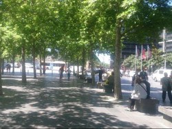 Melbourne Kembali Dijuluki Kota Paling Layak Huni di Dunia