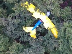 Pilot ini Tersangkut di Pohon Semalaman