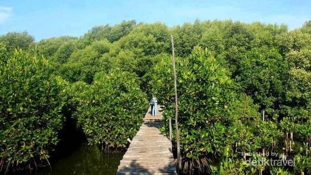Ini 4 Destinasi Asyik Sekitar Jakarta Buat Liburan Dadakan