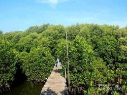 Liburan Spontan Keliling Jakarta, Ini Pilihan Destinasinya