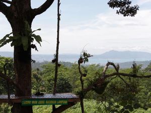 Bukan Kalibiru, Ini Tahura Wan Abdul Rachman di Lampung