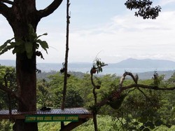 Bukan Kalibiru, Ini Tahura Wan Abdul Rachman di Lampung