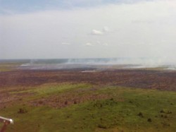 Ini Strategi Kementerian LHK Setop Kebakaran Hutan