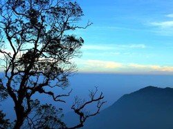 Liburan Dadakan yang Beda di Bandung, Ini 5 Destinasinya!