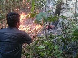 Lahan Sekitar Kampus UNRI Pekanbaru Terbakar