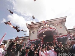 Pelepasan 71 Merpati Warnai Peringatan HUT RI di Pangkalpinang