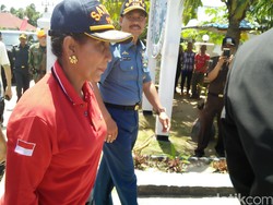 Potensi Tangkapan Ikan di RI Capai 9,9 Juta Ton per Tahun