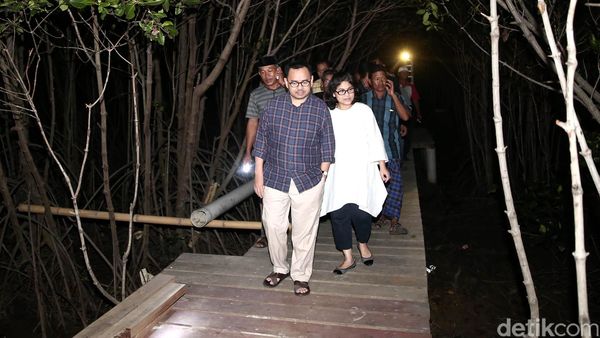 Sudirman Said Susuri Dewi Mangrove