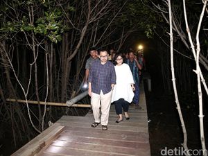 Sudirman Said Susuri Dewi Mangrove Sudirman Said Susuri Dewi Mangrove