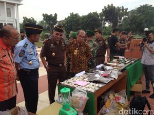 Kejari Rohil Musnahkan Barang Bukti 6 Senpi dan Narkoba Hasil Tindak Pidana Kejari Rohil Musnahkan Barang Bukti 6 Senpi dan Narkoba Hasil Tindak Pidana