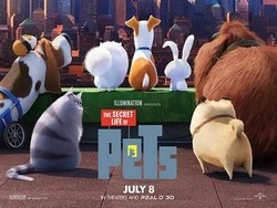 The Secret Life of Pets: Mengintip Dunia Anjing-anjing Rumahan