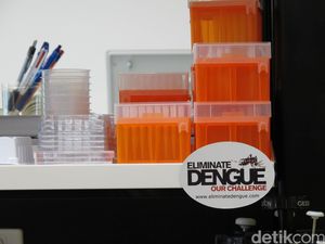 Peneliti UGM Jawab Tudingan Nyamuk Wolbachia Disebut Hasil Rekayasa Genetik