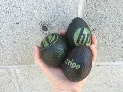 Custom Avocados Bisa Cetak Logo dan Undangan di Atas Kulit Buah Alpukat